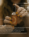 Palo Santo Vetiver Body Oil