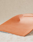 Leather Dustpan